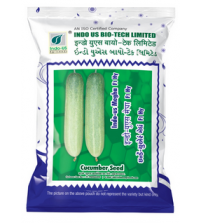 Cucumber Indo US Megha 10 grams